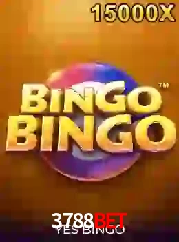bingobingo